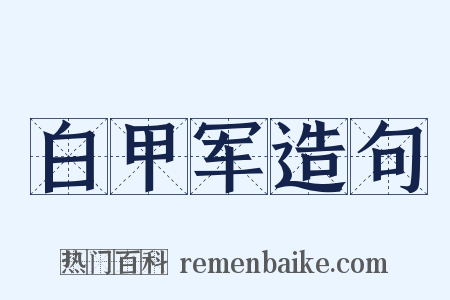 白甲军造句是什么意思的图片